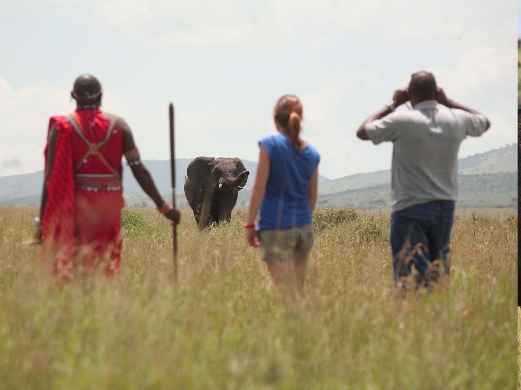 Sarova Mara Game Camp Villa Sekenani Eksteriør billede