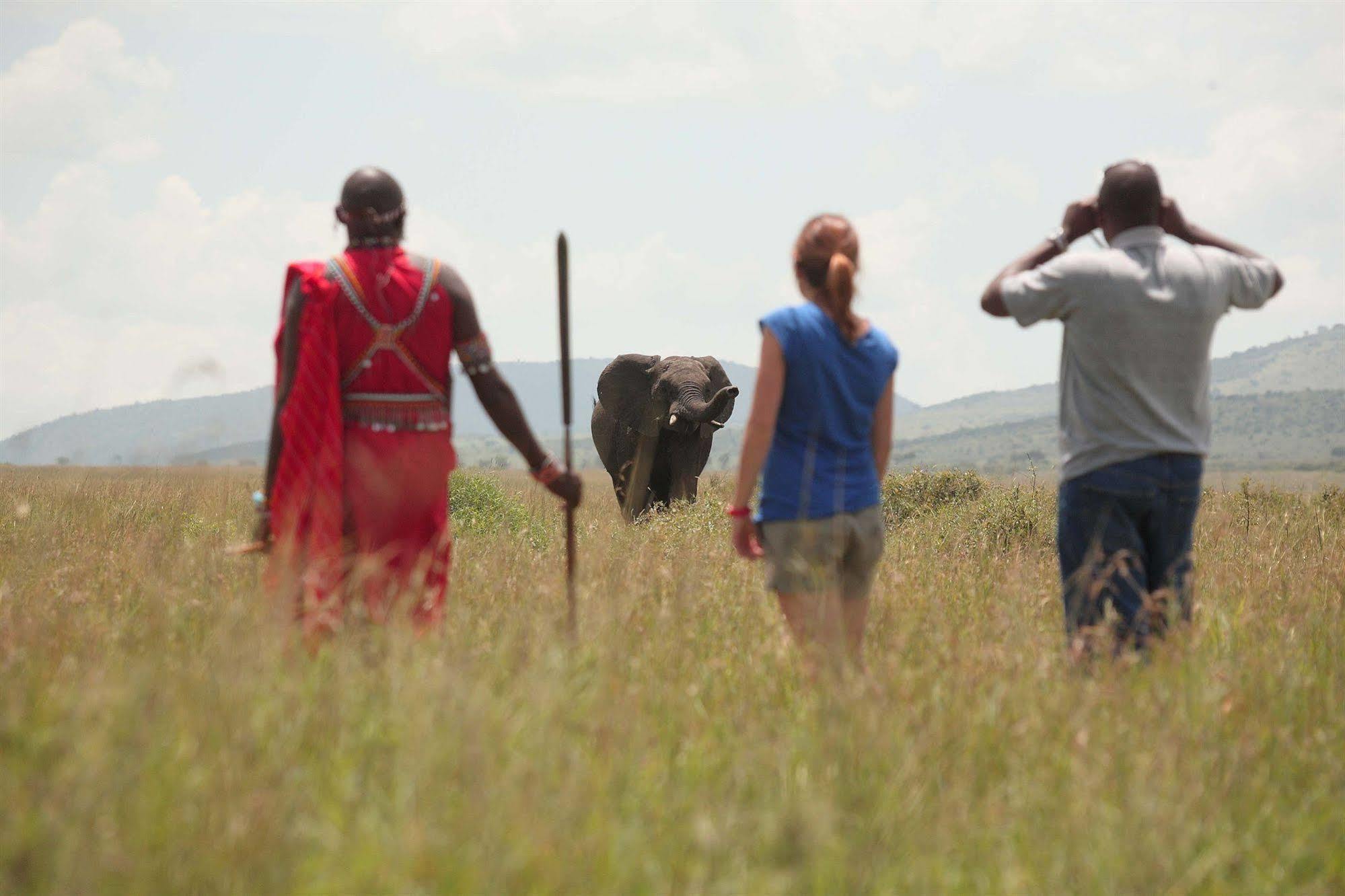 Sarova Mara Game Camp Villa Sekenani Eksteriør billede